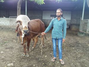 IMG-20160901-WA0006