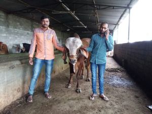 IMG-20160901-WA0008